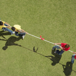 Tug of War 20m