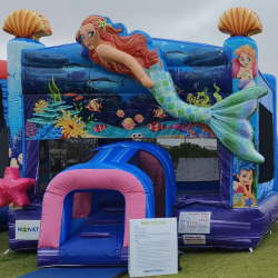 Mermaid Misting Castle